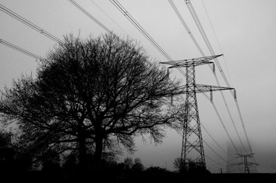 Etre de nature électrique_5193617185_l.jpg